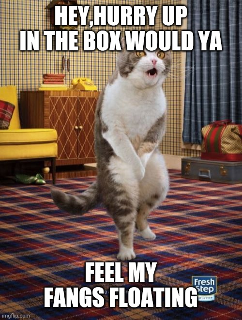 Gotta Go Cat | HEY,HURRY UP IN THE BOX WOULD YA; FEEL MY FANGS FLOATING | image tagged in memes,gotta go cat | made w/ Imgflip meme maker