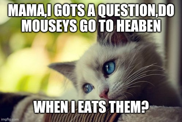 First World Problems Cat |  MAMA,I GOTS A QUESTION,DO MOUSEYS GO TO HEABEN; WHEN I EATS THEM? | image tagged in memes,first world problems cat | made w/ Imgflip meme maker