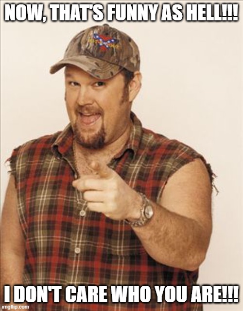 Larry The Cable Guy | NOW, THAT'S FUNNY AS HELL!!! I DON'T CARE WHO YOU ARE!!! | image tagged in larry the cable guy | made w/ Imgflip meme maker