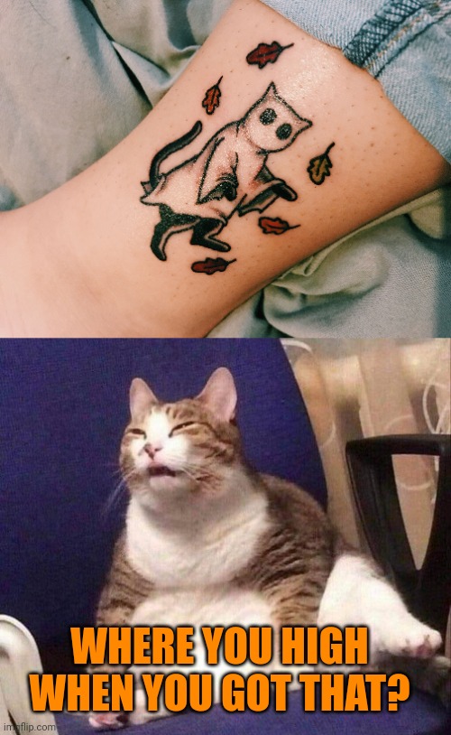 GHOST CAT JUGGLING LEAVES? | WHERE YOU HIGH WHEN YOU GOT THAT? | image tagged in cats,funny cats,tattoos,tattoo,spooktober | made w/ Imgflip meme maker