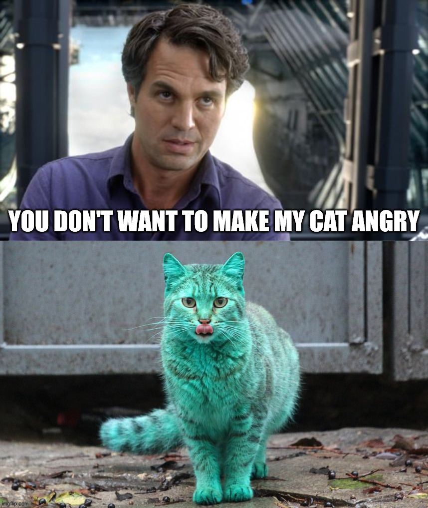 YOU DON'T WANT TO MAKE MY CAT ANGRY | image tagged in bruce banner,cats | made w/ Imgflip meme maker