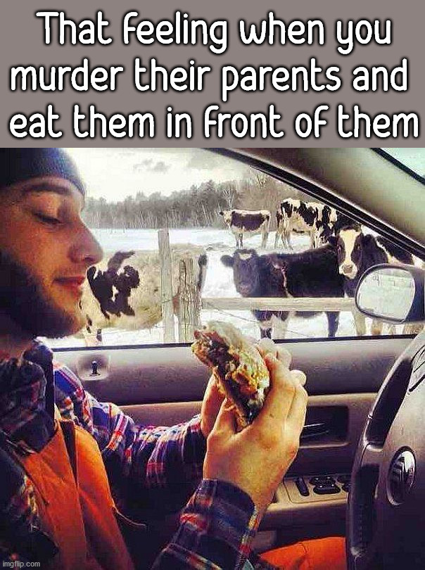 That feeling when you murder their parents and 
eat them in front of them | image tagged in dark humor | made w/ Imgflip meme maker