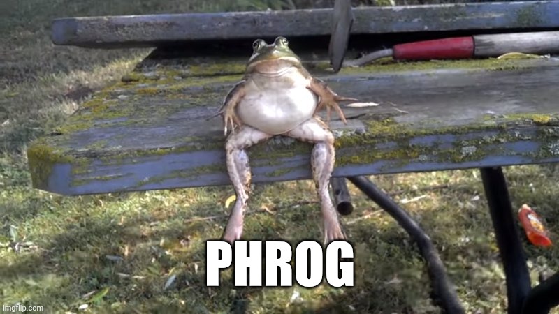 Phrog | PHROG | image tagged in phrog | made w/ Imgflip meme maker