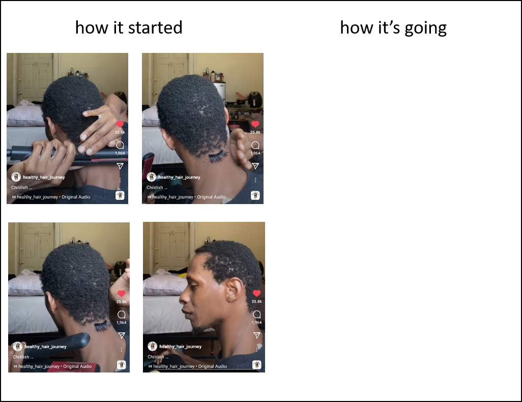 High Quality Hair time lapse JADesigns Blank Meme Template
