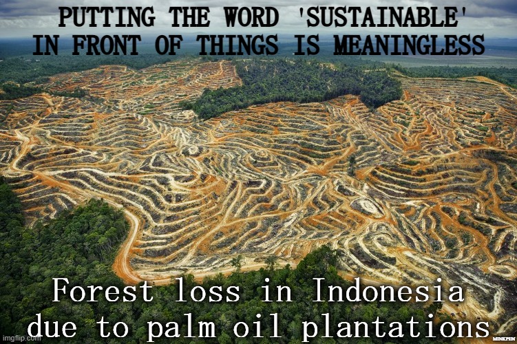 Unsustainable | '; ' | image tagged in environment,environmental protection agency,forest,deforestation,palm oil,destruction | made w/ Imgflip meme maker