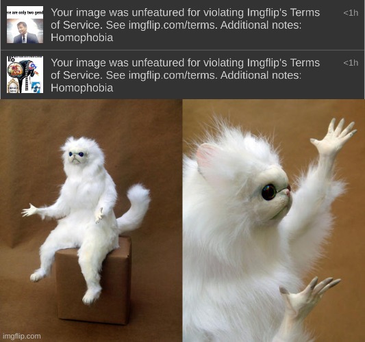 Those unfeatured images were made weeks ago | image tagged in memes,persian cat room guardian | made w/ Imgflip meme maker