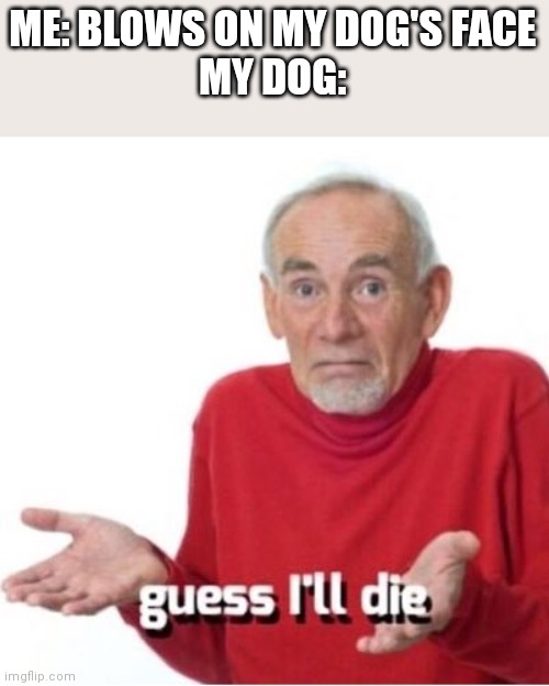 Guess I'll die | ME: BLOWS ON MY DOG'S FACE
MY DOG: | image tagged in guess i'll die | made w/ Imgflip meme maker