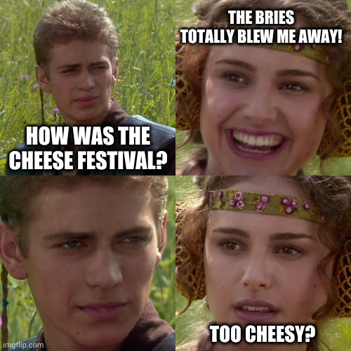 Yuck yuk | THE BRIES TOTALLY BLEW ME AWAY! HOW WAS THE CHEESE FESTIVAL? TOO CHEESY? | image tagged in anakin padme 4 panel | made w/ Imgflip meme maker