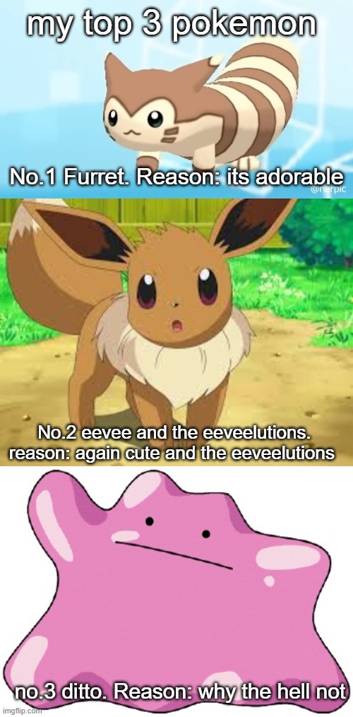 Comment your top 3 |  my top 3 pokemon; No.1 Furret. Reason: its adorable; No.2 eevee and the eeveelutions. reason: again cute and the eeveelutions; no.3 ditto. Reason: why the hell not | image tagged in furret walcc,eevee,ditto | made w/ Imgflip meme maker