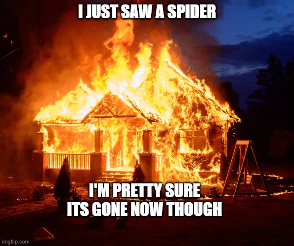 spider | I JUST SAW A SPIDER; I'M PRETTY SURE ITS GONE NOW THOUGH | image tagged in spider | made w/ Imgflip meme maker