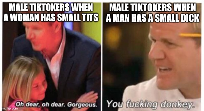 Is this true |  MALE TIKTOKERS WHEN A WOMAN HAS SMALL TITS; MALE TIKTOKERS WHEN A MAN HAS A SMALL DICK | image tagged in oh dear dear gorgeus | made w/ Imgflip meme maker