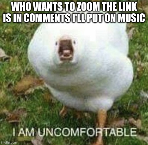 https://freeconferencing.vonage.com/room/icy-sunset-late-block-8130 | WHO WANTS TO ZOOM THE LINK IS IN COMMENTS I'LL PUT ON MUSIC | image tagged in i a m u n c o m f o r t a b l e | made w/ Imgflip meme maker