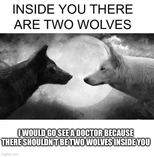 Kinda true | I WOULD GO SEE A DOCTOR BECAUSE THERE SHOULDN’T BE TWO WOLVES INSIDE YOU | image tagged in inside you there are two wolves,memes | made w/ Imgflip meme maker