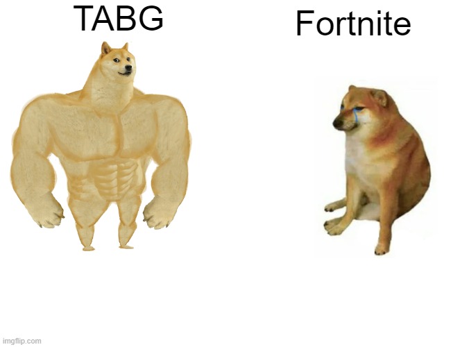 Buff Doge vs. Cheems Meme | TABG; Fortnite | image tagged in memes,buff doge vs cheems | made w/ Imgflip meme maker