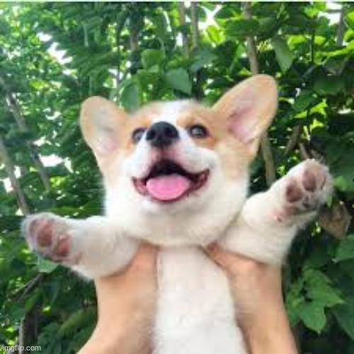 HE SOO HAPPYYYYYYYY | made w/ Imgflip meme maker