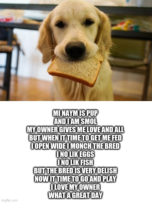 MI NAYM IS PUP
AND I AM SMOL
MY OWNER GIVES ME LOVE AND ALL
BUT WHEN IT TIME TO GET ME FED
I OPEN WIDE I MONCH THE BRED
I NO LIK EGGS
I NO LIK FISH
BUT THE BRED IS VERY DELISH
NOW IT TIME TO GO AND PLAY
I LOVE MY OWNER
WHAT A GREAT DAY | image tagged in memes,blank transparent square | made w/ Imgflip meme maker