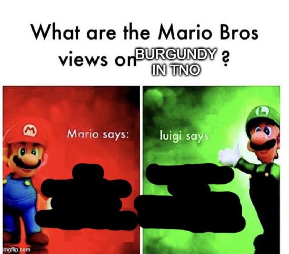 TNO Burgundy in a nutshell | BURGUNDY IN TNO; SS BURGUNDY IS TERRIBLE AND EXTREMIST; SS BURGUNDY IS AN OPPRESSIVE AND INSANE COUNTRY | image tagged in mario bros views | made w/ Imgflip meme maker