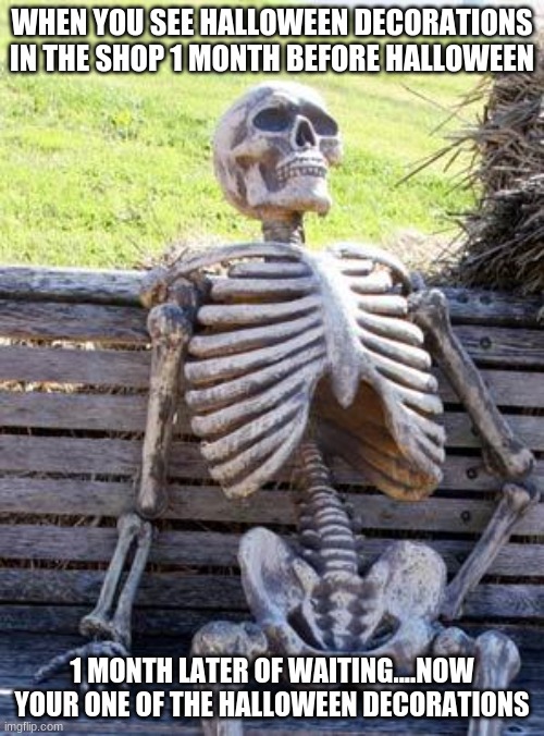 halloween decorations be like..... | WHEN YOU SEE HALLOWEEN DECORATIONS IN THE SHOP 1 MONTH BEFORE HALLOWEEN; 1 MONTH LATER OF WAITING....NOW YOUR ONE OF THE HALLOWEEN DECORATIONS | image tagged in memes,waiting skeleton,halloween,halloween is coming,decorating | made w/ Imgflip meme maker