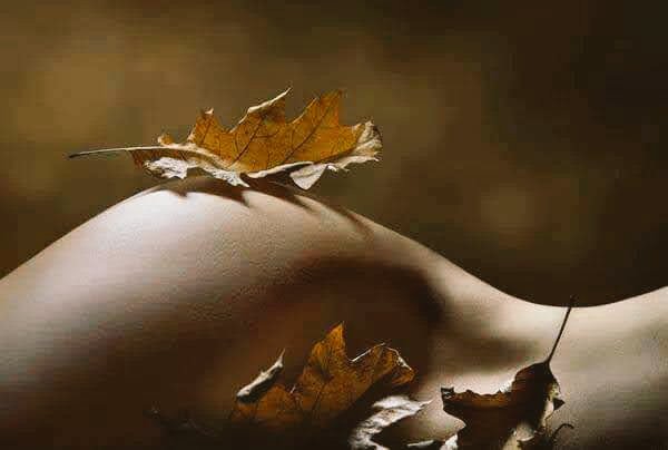 Daniel Blank Meme Template