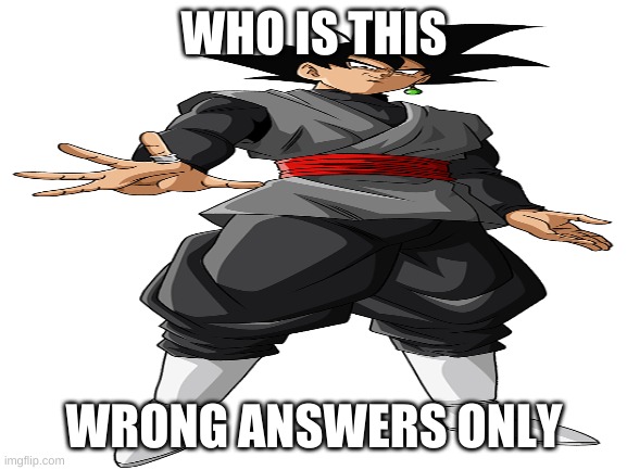 whos that character? |  WHO IS THIS; WRONG ANSWERS ONLY | image tagged in dragon ball z,anime | made w/ Imgflip meme maker