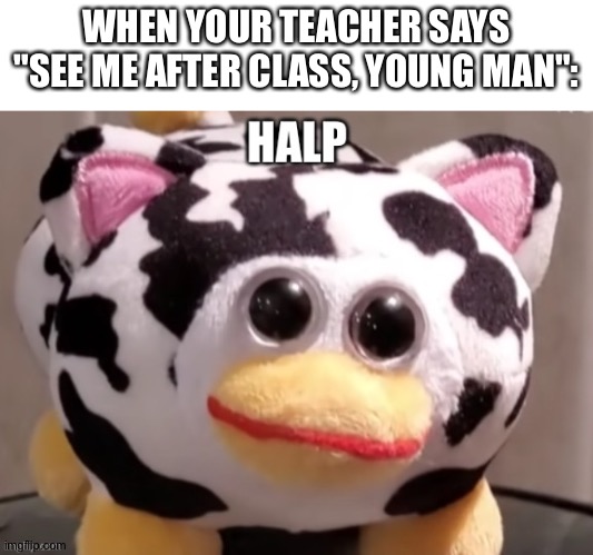 Don't suck my treats, Sucklet! | WHEN YOUR TEACHER SAYS "SEE ME AFTER CLASS, YOUNG MAN":; LOL YOU CAN'T SEE THIS BUT I JUST WANT TO SAY THAT GO BUY PEEPY ON ITEMLABEL OR HE WILL EAT YOUR HEART | image tagged in peepy halp | made w/ Imgflip meme maker