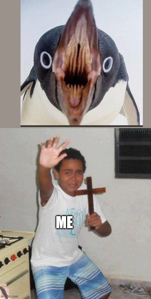 imagine if penguins actually had teeth (i am a W E E D E A T E R) | ME | image tagged in kid with cross,cursed image,wtf | made w/ Imgflip meme maker