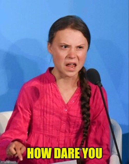 Greta Thunberg how dare you | HOW DARE YOU | image tagged in greta thunberg how dare you | made w/ Imgflip meme maker