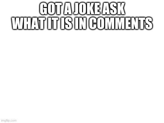 Blank White Template | GOT A JOKE ASK WHAT IT IS IN COMMENTS | image tagged in blank white template | made w/ Imgflip meme maker