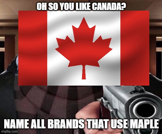 Me When Someone Says They Know Canada | OH SO YOU LIKE CANADA? NAME ALL BRANDS THAT USE MAPLE | image tagged in gru gun | made w/ Imgflip meme maker