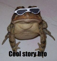 Cool story Blank Meme Template