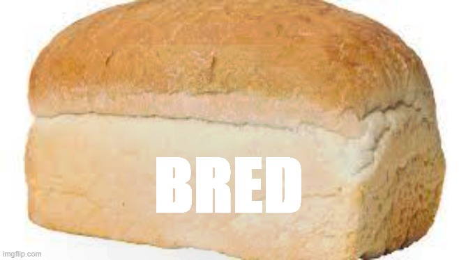 Bred | BRED | image tagged in inbred | made w/ Imgflip meme maker
