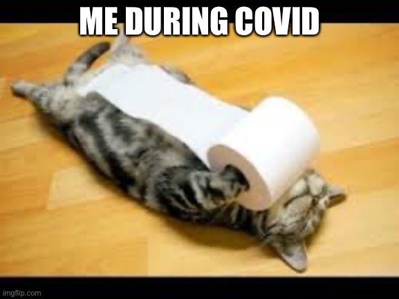 Funny animals | ME DURING COVID | image tagged in funny animals | made w/ Imgflip meme maker