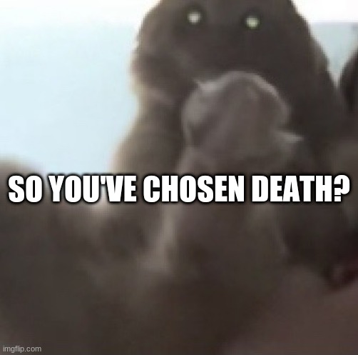 demonic tabby cat wants to feast upon your soul | SO YOU'VE CHOSEN DEATH? | image tagged in demonic tabby cat wants to feast upon your soul,memes,lmao,cat | made w/ Imgflip meme maker