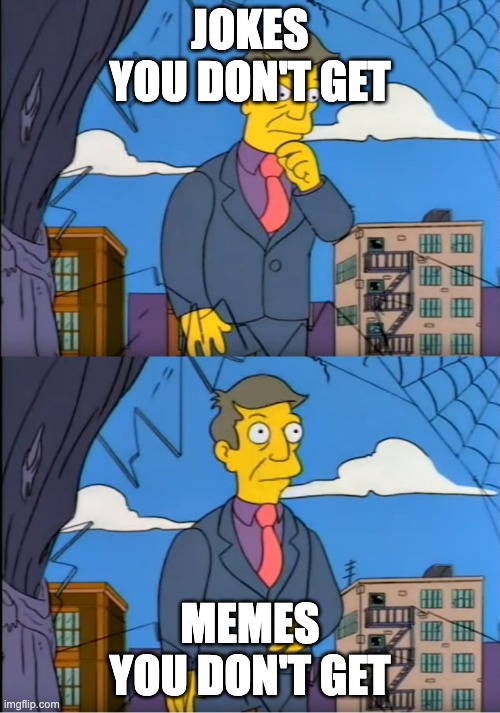 this meme makes no sense | JOKES YOU DON'T GET; MEMES YOU DON'T GET | image tagged in skinner out of touch | made w/ Imgflip meme maker