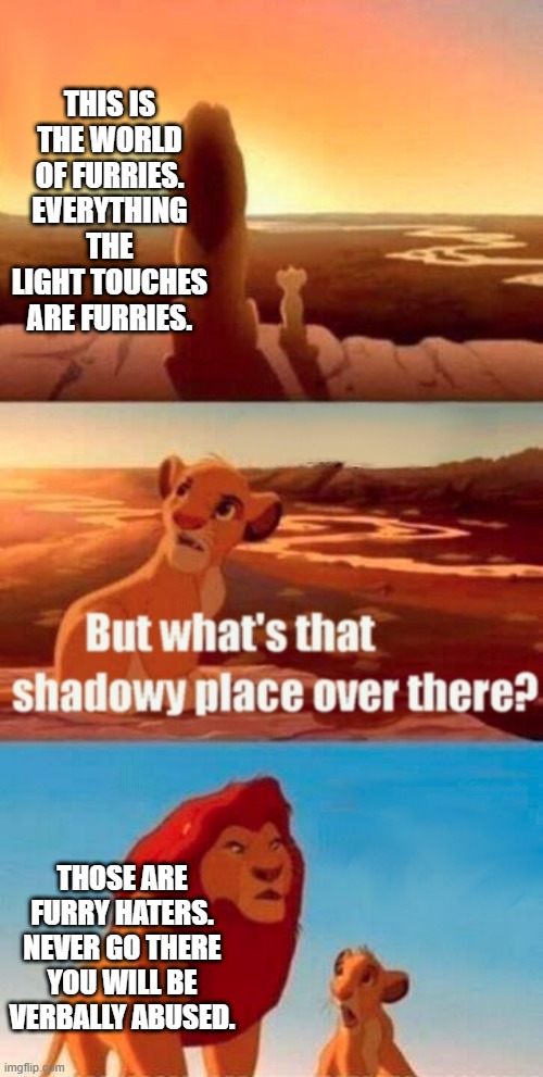Simba Shadowy Place | THIS IS THE WORLD OF FURRIES. EVERYTHING THE LIGHT TOUCHES ARE FURRIES. THOSE ARE FURRY HATERS. NEVER GO THERE YOU WILL BE VERBALLY ABUSED. | image tagged in memes,simba shadowy place | made w/ Imgflip meme maker