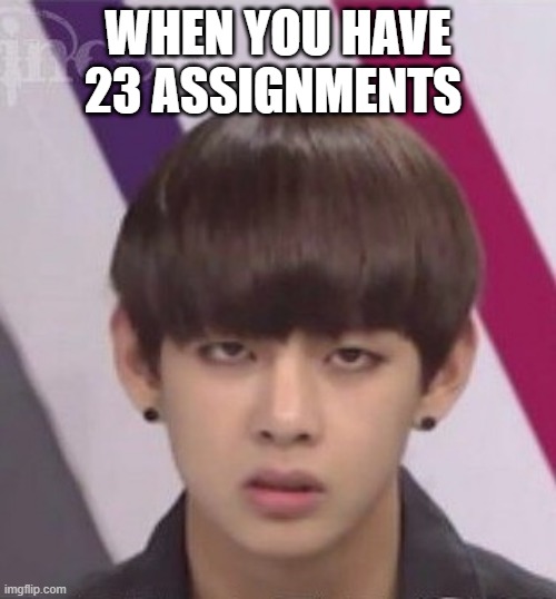Uhh | WHEN YOU HAVE 23 ASSIGNMENTS | image tagged in bts v | made w/ Imgflip meme maker