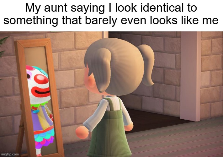 Animal crossing mirror clown | My aunt saying I look identical to something that barely even looks like me | image tagged in animal crossing mirror clown | made w/ Imgflip meme maker
