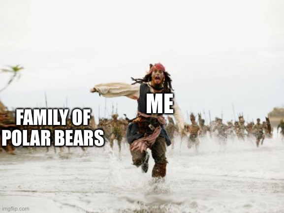 I went nowhere near that polar bear baby, I swear! | FAMILY OF POLAR BEARS; ME | image tagged in memes,jack sparrow being chased,minecraft steve | made w/ Imgflip meme maker
