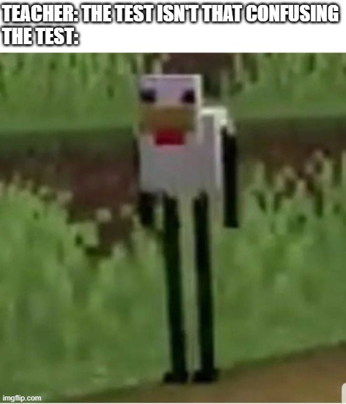 The test is very confusing | TEACHER: THE TEST ISN'T THAT CONFUSING
THE TEST: | image tagged in cursed minecraft chicken,the test isn't that confusing | made w/ Imgflip meme maker