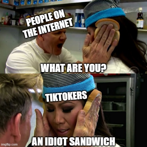 TikTokers are idiot sandwiches | PEOPLE ON THE INTERNET; WHAT ARE YOU? TIKTOKERS; AN IDIOT SANDWICH | image tagged in gordon ramsay idiot sandwich,tiktoker,tiktok sucks | made w/ Imgflip meme maker