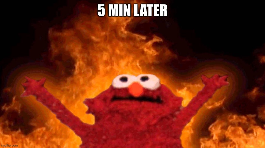 elmo fire | 5 MIN LATER | image tagged in elmo fire | made w/ Imgflip meme maker