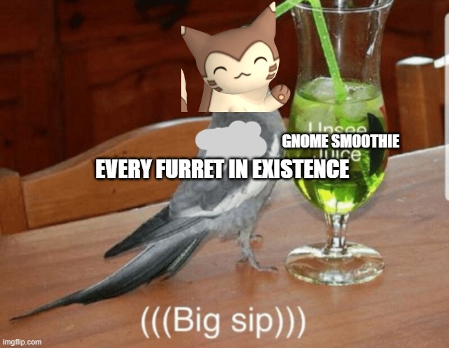 Unsee juice | GNOME SMOOTHIE EVERY FURRET IN EXISTENCE | image tagged in unsee juice | made w/ Imgflip meme maker