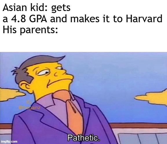 you are a failure to the asian society |  Asian kid: gets a 4.8 GPA and makes it to Harvard
His parents: | image tagged in pathetic,memes,true,asian | made w/ Imgflip meme maker