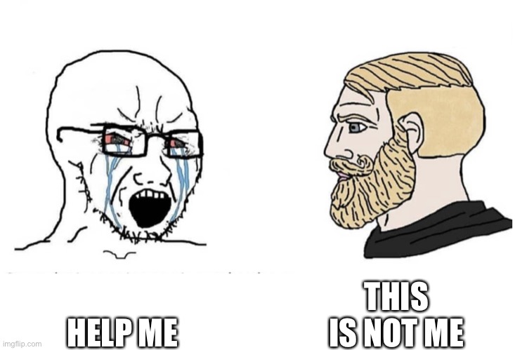 HELP ME THIS IS NOT ME | image tagged in soyboy vs yes chad | made w/ Imgflip meme maker