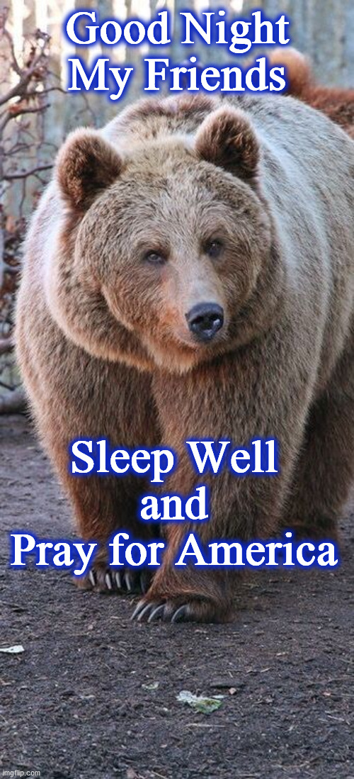 bear | Good Night My Friends; Sleep Well
 and 
Pray for America | image tagged in bear | made w/ Imgflip meme maker