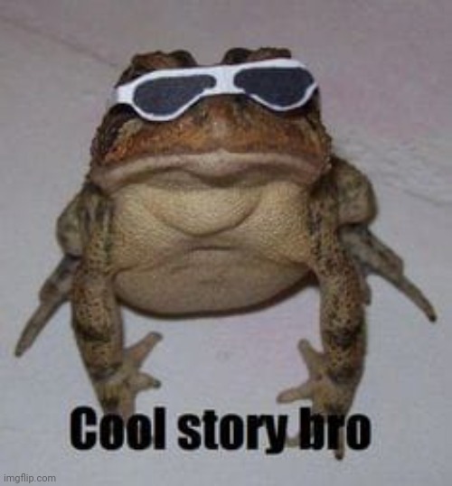 Cool story | image tagged in cool story | made w/ Imgflip meme maker