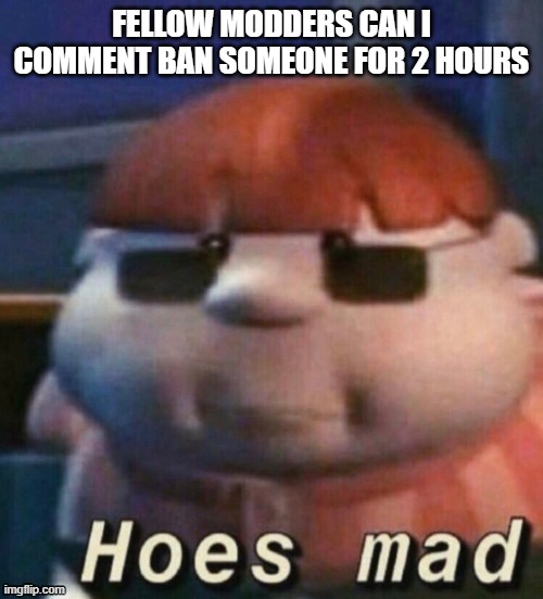 hoes mad | FELLOW MODDERS CAN I COMMENT BAN SOMEONE FOR 2 HOURS | image tagged in hoes mad | made w/ Imgflip meme maker
