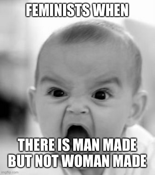 True | FEMINISTS WHEN; THERE IS MAN MADE BUT NOT WOMAN MADE | image tagged in memes,angry baby | made w/ Imgflip meme maker