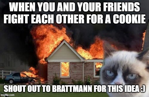 LOL | WHEN YOU AND YOUR FRIENDS FIGHT EACH OTHER FOR A COOKIE; SHOUT OUT TO BRATTMANN FOR THIS IDEA :) | image tagged in funny memes | made w/ Imgflip meme maker