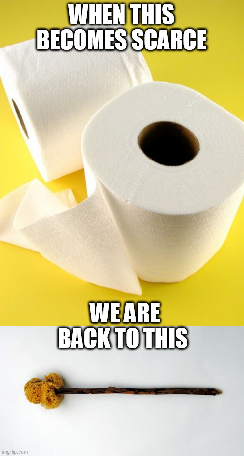 WHEN THIS BECOMES SCARCE; WE ARE BACK TO THIS | image tagged in toliet paper | made w/ Imgflip meme maker